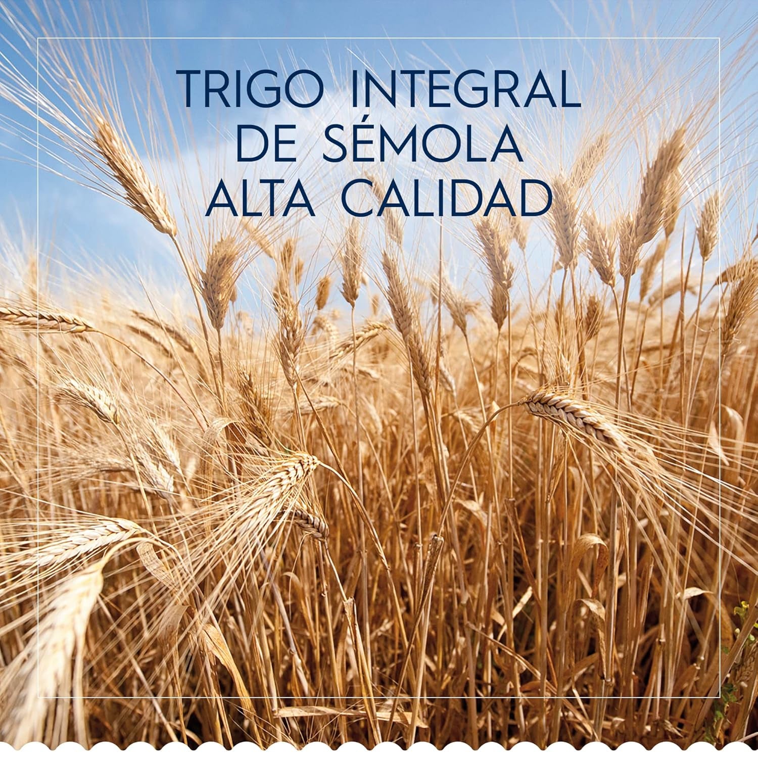 Barilla Classic Spaghetti N°7 pasta de trigo duro, siempre al dente (1 x 500 g)