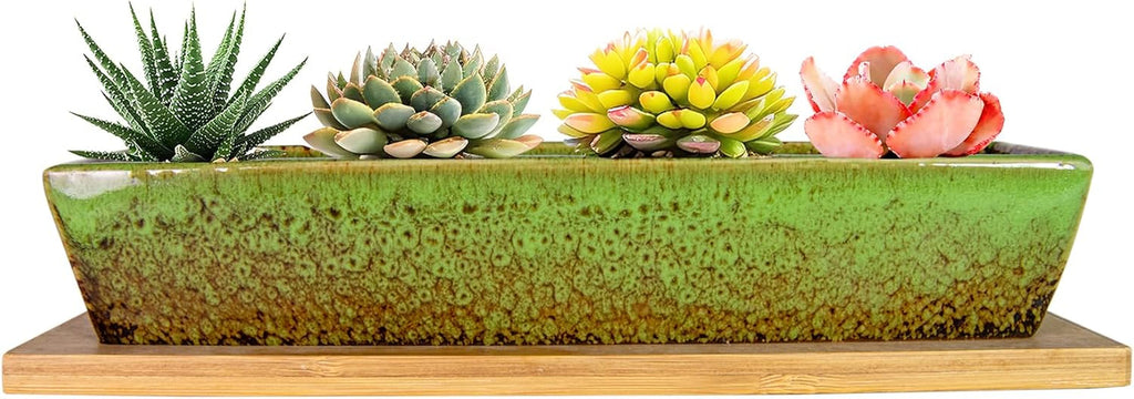 Ghivece ceramice pentru suculente, 30 cm, moderne, lungi, dreptunghiulare, recipient pentru flori cu tavă, cutie plată pentru cactus și bonsai cu drenaj, pentru uz interior și exterior, decorațiuni interioare