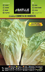 Batlle Gemüsesamen - Endivien Escariol Salat Bubikopf - Perruca Del Prat (7200 Samen)
