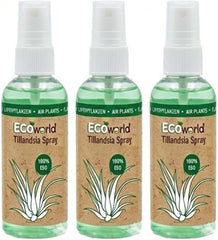 Vdvelde.Com - Tillandsia Spray - • Pflege Für Luftpflanzen • 3 X 125 Ml • in Praktischer Sprühflasche