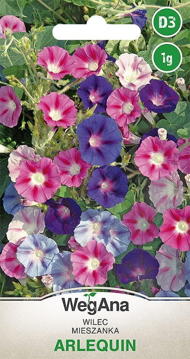 Cosmos Sensation Mix 1g semillas, Cosmos Mix Flores de verano, Plantas de jardín Plantas de balcón, Semillas de flores