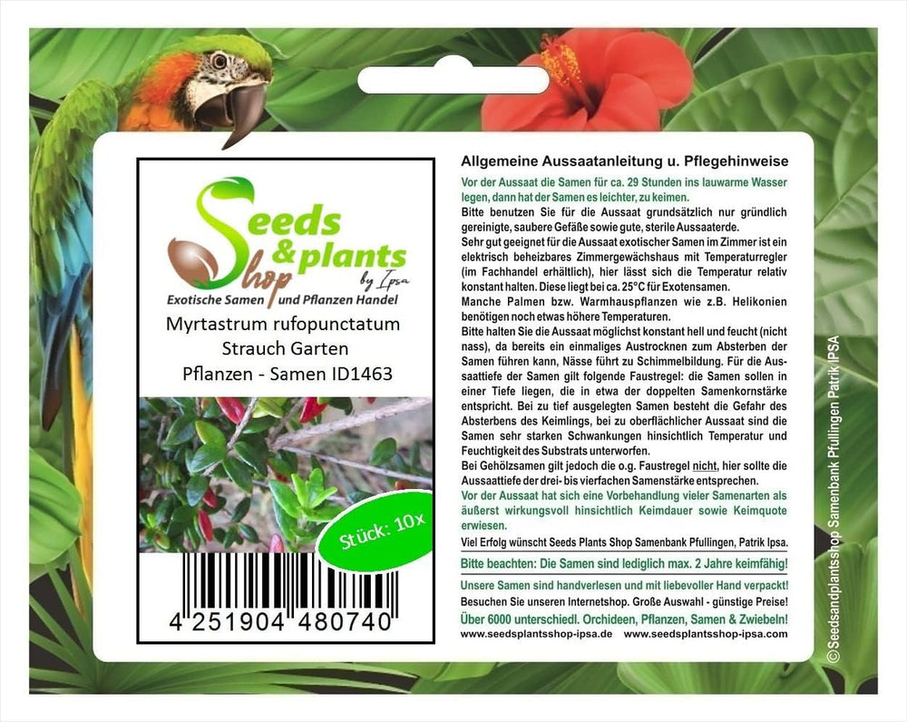 Stk - 10X Myrtastrum Rufopunctatum Strauch Garten Pflanzen - Samen ID1463 -