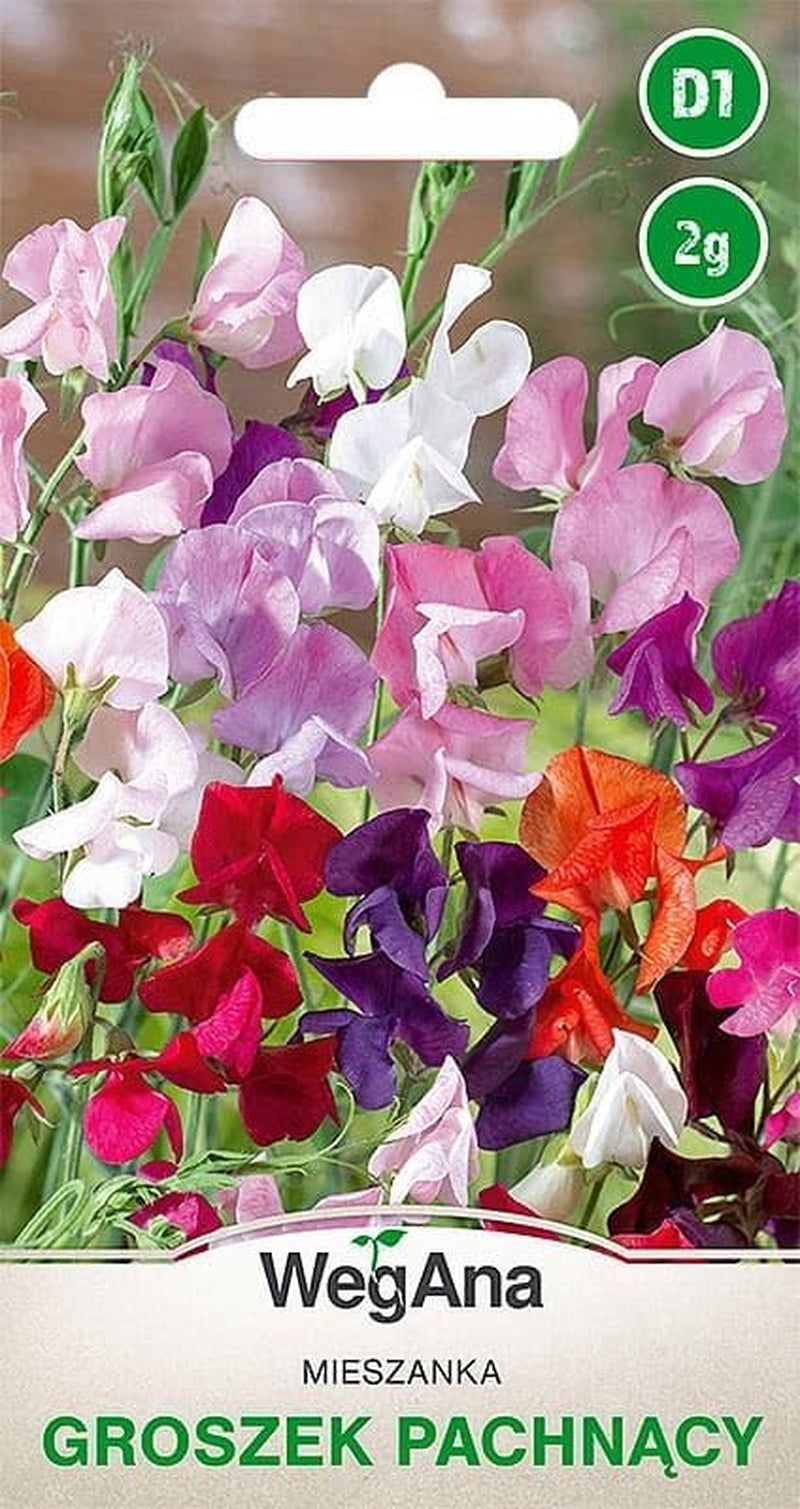 Cosmos Sensation Mix 1g semillas, Cosmos Mix Flores de verano, Plantas de jardín Plantas de balcón, Semillas de flores