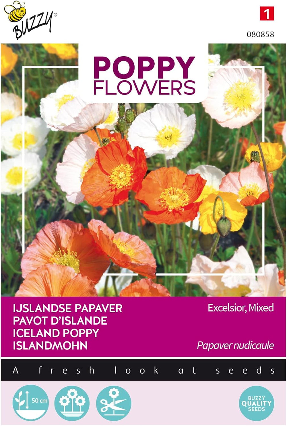 Flores de amapola Buzzy Poppy Islandia