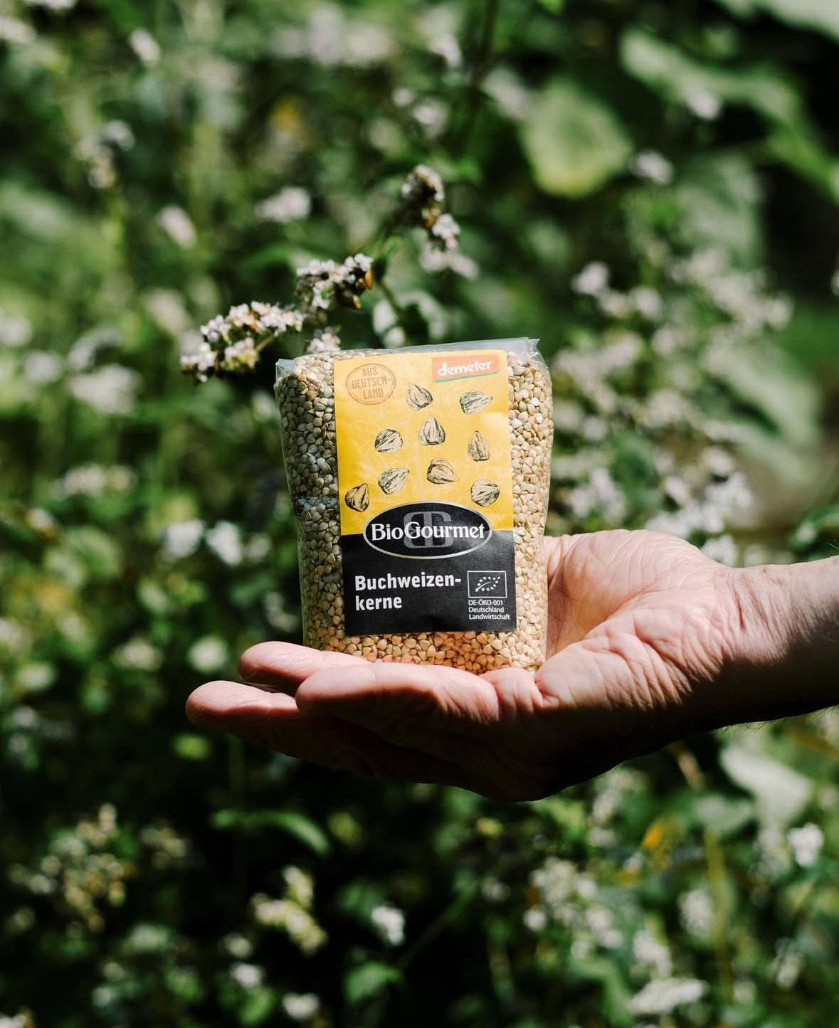 Trigo Sarraceno BioGourmet Demeter – Bolsa 500g | Sin gluten, rico en fibra y regional | De agricultura ecológica alemana (Baden-Württemberg/Baviera) | Ideal para muesli, ensaladas y guarniciones.