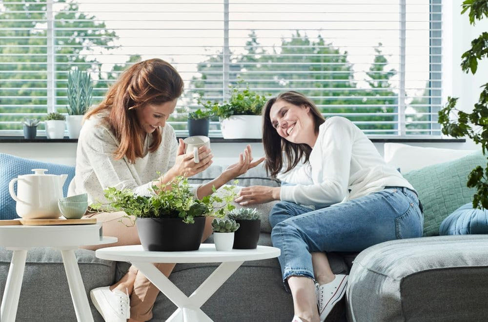 elho Brussels Bowl 23 - Ghiveci de flori de interior - Ø 22,9 x H 10,8 cm - Negru/Antracit