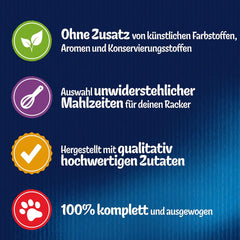 Felix Sensations Hrană umedă pentru pisici în jeleu, mix variat de pește, pachet de 6 (6 x 12 pliculețe a câte 85 g fiecare)