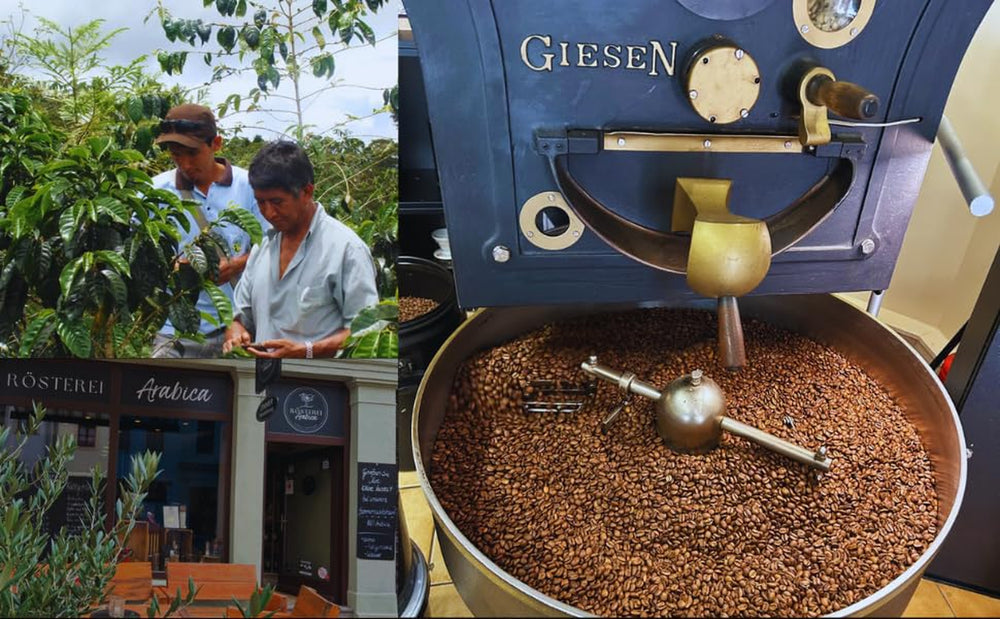 Probierset Kaffee und Espresso | Ganze Bohne oder Gemahlen – 6 Sorten Café & Espresso | Aromatisch & Vollmundig Perfekt zum Testen oder als Geschenk