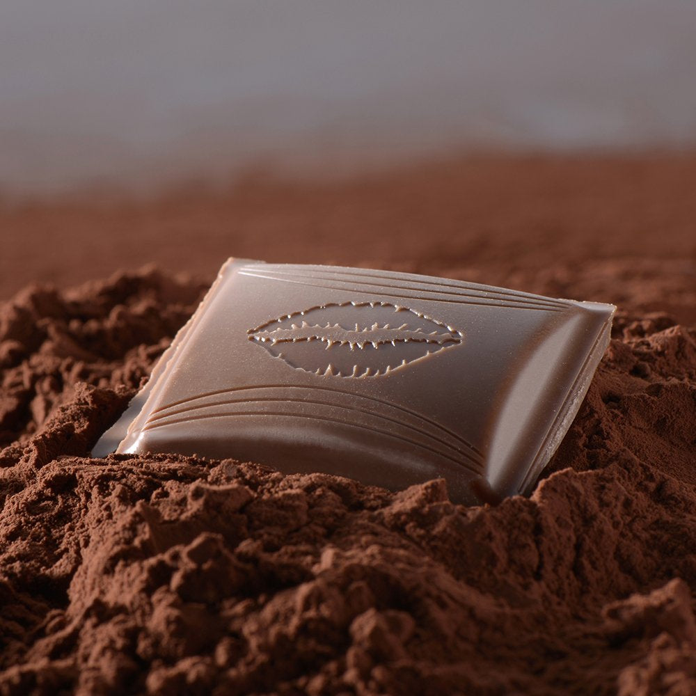 HOLA Chocolate con caramelo salado | Barra 100g | Chocolate con leche con relleno de caramelo salado | Barra de chocolate | Regalo de chocolate (paquete de 5)