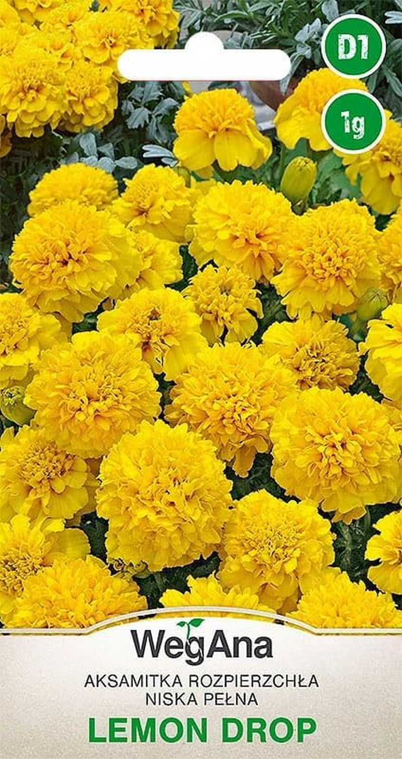 Cosmos Sensation Mix 1g semillas, Cosmos Mix Flores de verano, Plantas de jardín Plantas de balcón, Semillas de flores