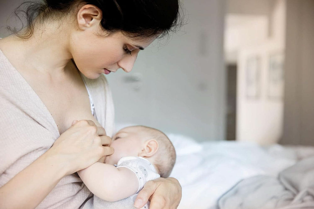 Nip® Protectores para pezones First Moments, 2 piezas Alimentación y Accesorios Lactancia Tienda Bebe Naty