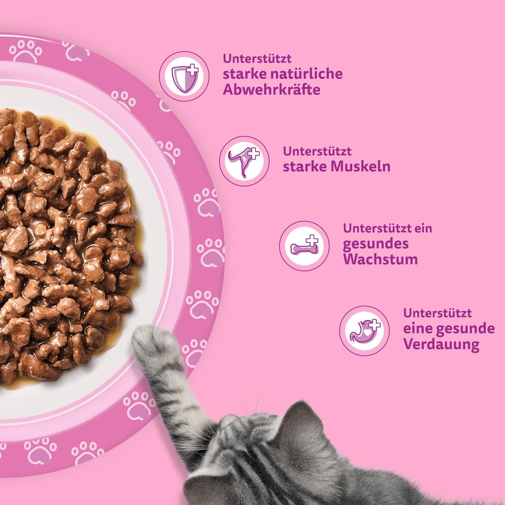 Hrană umedă pentru pisici Whiskas Junior Classic Selection în sos, 48 de pliculețe, 12 x 85 g (pachet de 4) – Hrană umedă de înaltă calitate pentru pisici în creștere, de la 2 la 12 luni