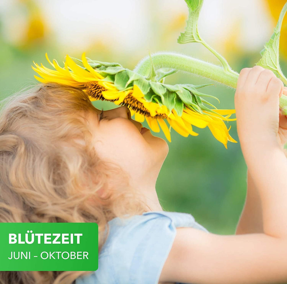 Magia de la Naturaleza 800gr. Blumensamen Mischung - Bienen Paradies - Blühfreudige Bienenweide für 150 bis 250 m²