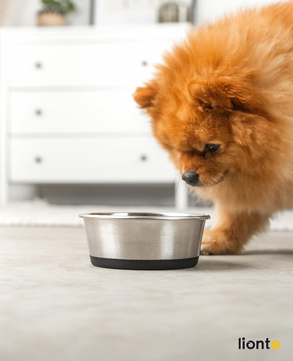 lionto Futternapf aus Edelstahl, 600 ml, lebensmittelechter Hundenapf mit rutschfestem Silikonboden, rostfreier Wassernapf für Hunde und Katzen, spülmaschinenfest