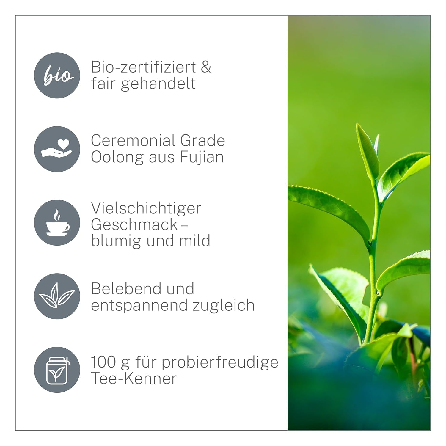 Ceai Oolong Ti Guan Yin Bio 100 g - Ceai Oolong de înaltă calitate, din China, de calitate bio - Wu Long (grad ceremonial) - Pentru iubitorii și cunoscătorii de ceai - Mycupoftea