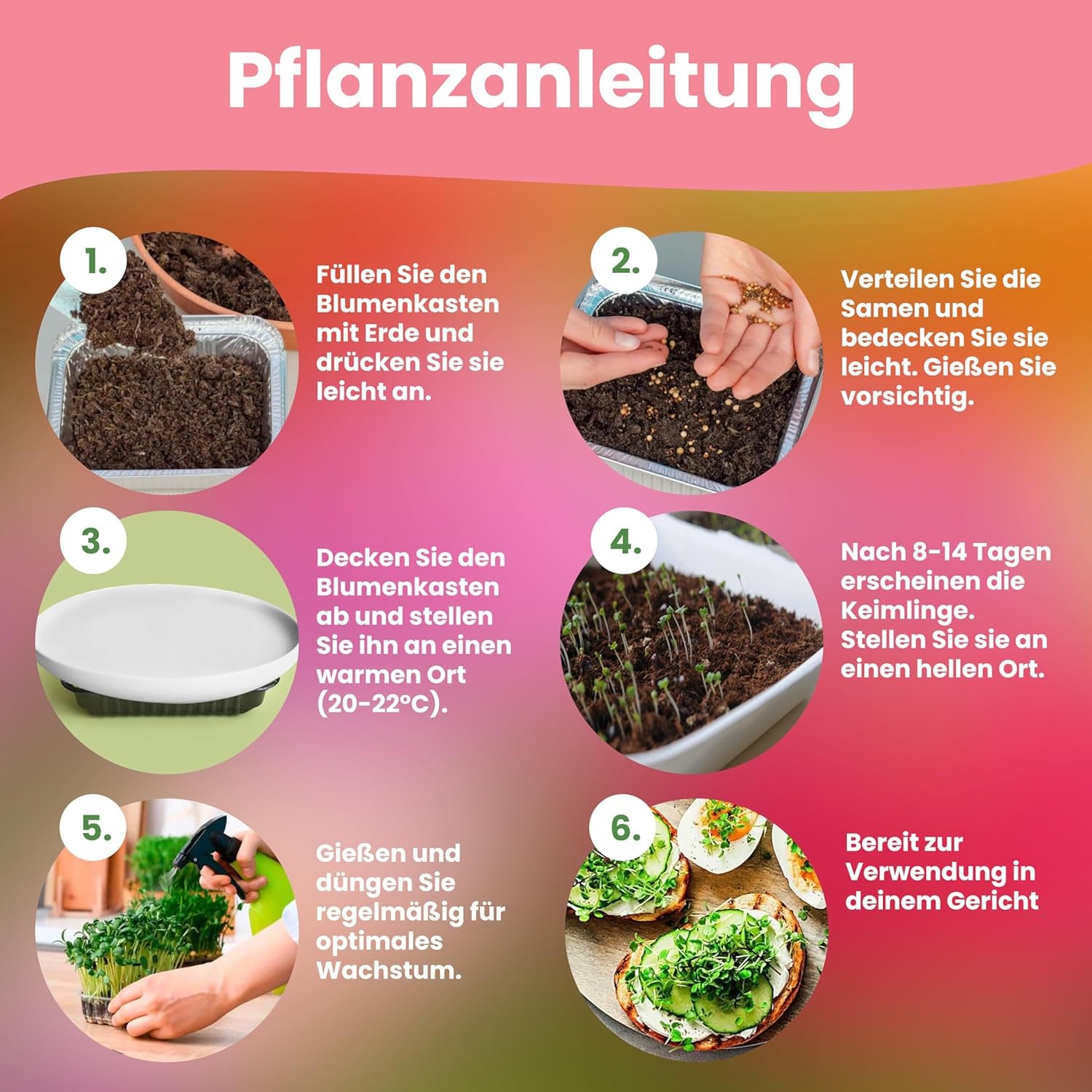 LERAVA Kräutersamen Set - 12 tipos: Basilikum Samen, Parsilie Samen, Koriander, Oregano & mehr - Saatgut für frische Kräuter im Garten oder Topf, Premium Samen für Küche & Balkon - Samen set, semillas