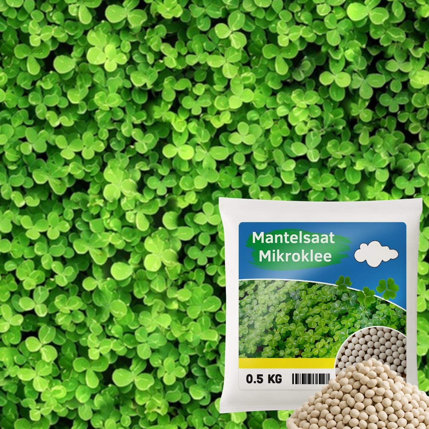 Flower Meadow - Mezcla de semillas de flores aptas para abejas - Flores silvestres y pastos para lugares secos - Semillas de flores silvestres - Mezcla de semillas anuales y perennes