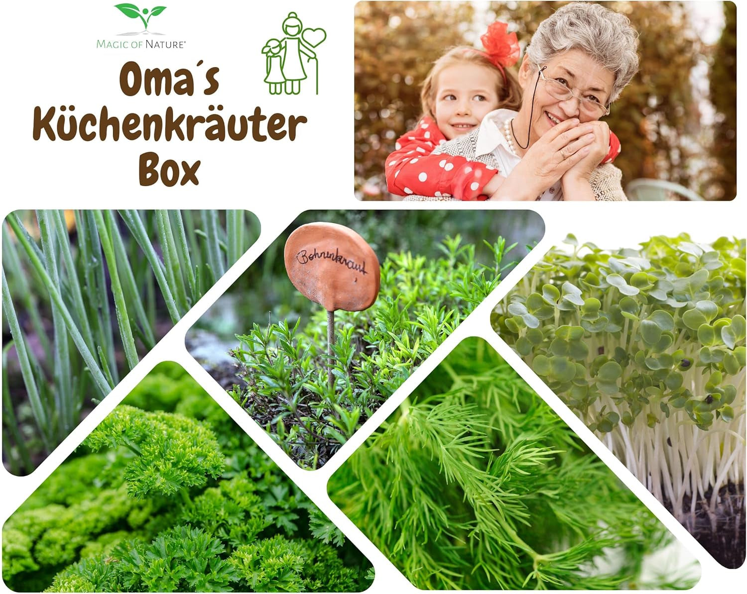 Magic of Nature Oma's Küchenkräuter Box - Anzuchtset - 5 Sorten frische Kräuter Samen - Zum Selberzüchten oder zum Verschenken