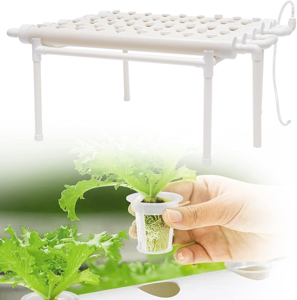 Hydroponische Systeme Grow Set Hydrokultur Plant Vegetal Hydroponisches Pflanzen BewäSserung System Garten Kit Herramienta de jardín Pflanze Sites Cultivo hidropónico Hydroponisches Anzuchtsystem 54LöCher 6Rohr