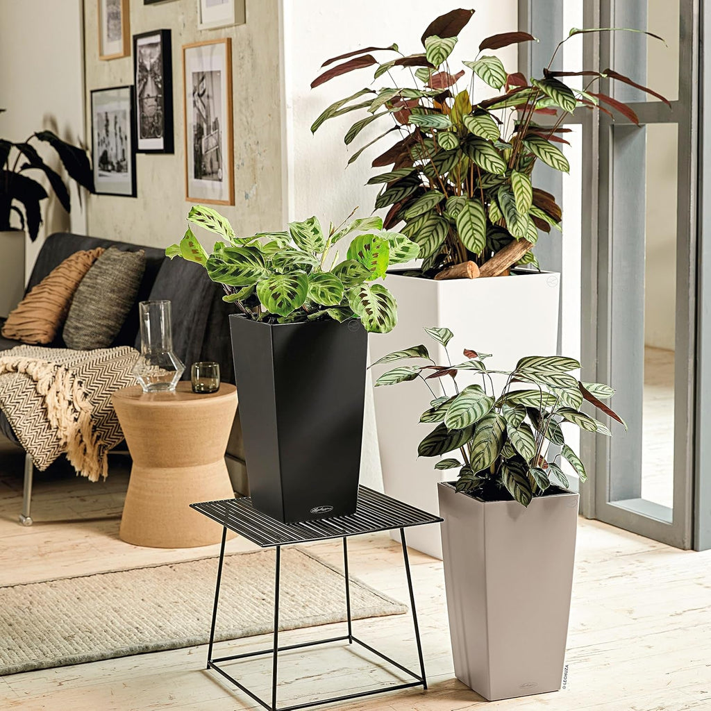 LECHUZA CUBICO Culoare 30 gri ardezie 13138, 29,5x29,5x56,5 cm