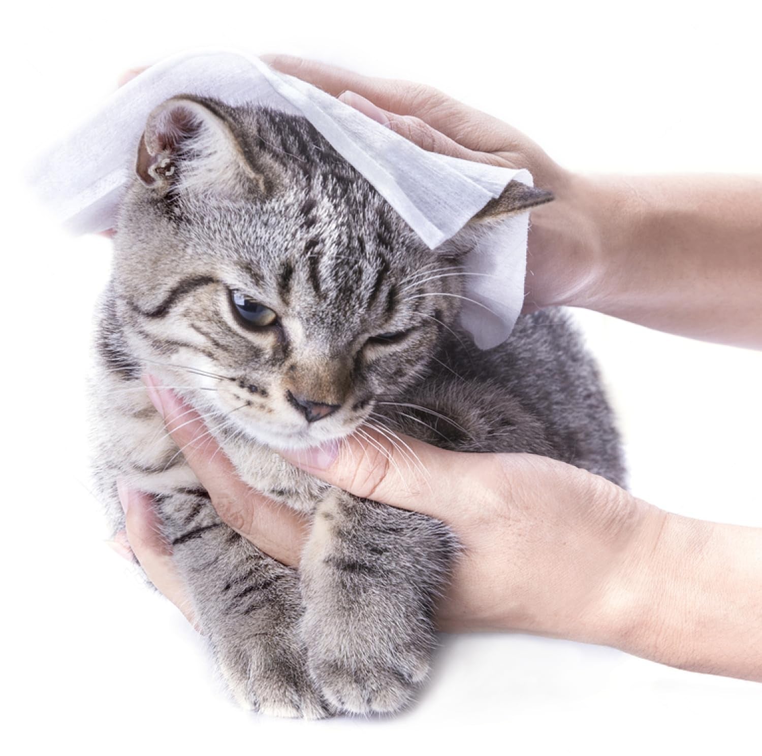 Go 07 Citronela Toallita limpiadora comprimida con líquido 50 piezas