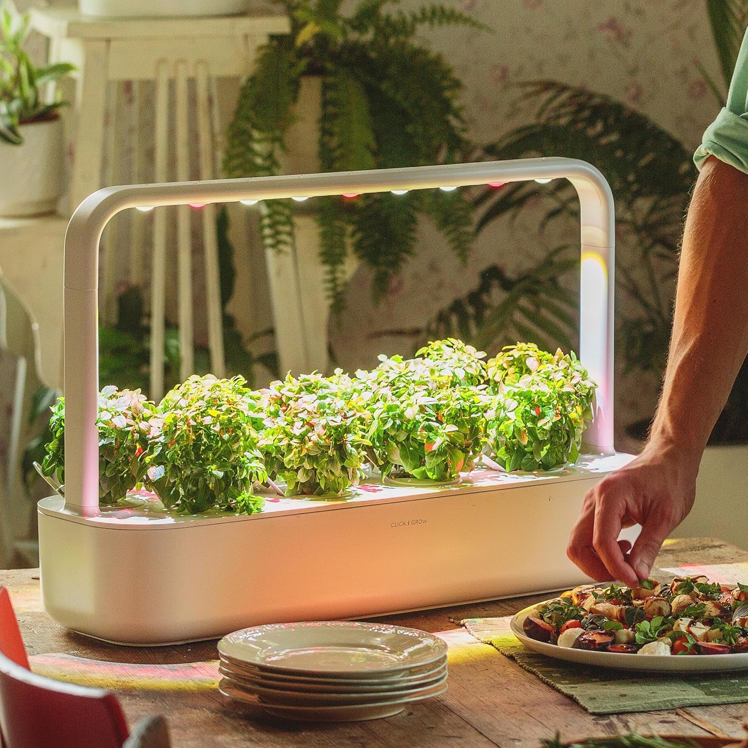 Click and Grow Jardín Interior, Más Fácil que el Sistema de Cultivo Hidropónico, Jardín Inteligente LED, Jardín de Hierbas, Invernadero Interior con 9 Cápsulas Vegetales Incluidas (Blanco)