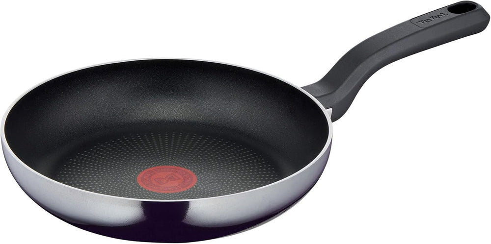 Tefal D52606 Resist, Revestimiento Antiadherente De Titanio Ollas Y Sartenes Naty Shop 24 Cm