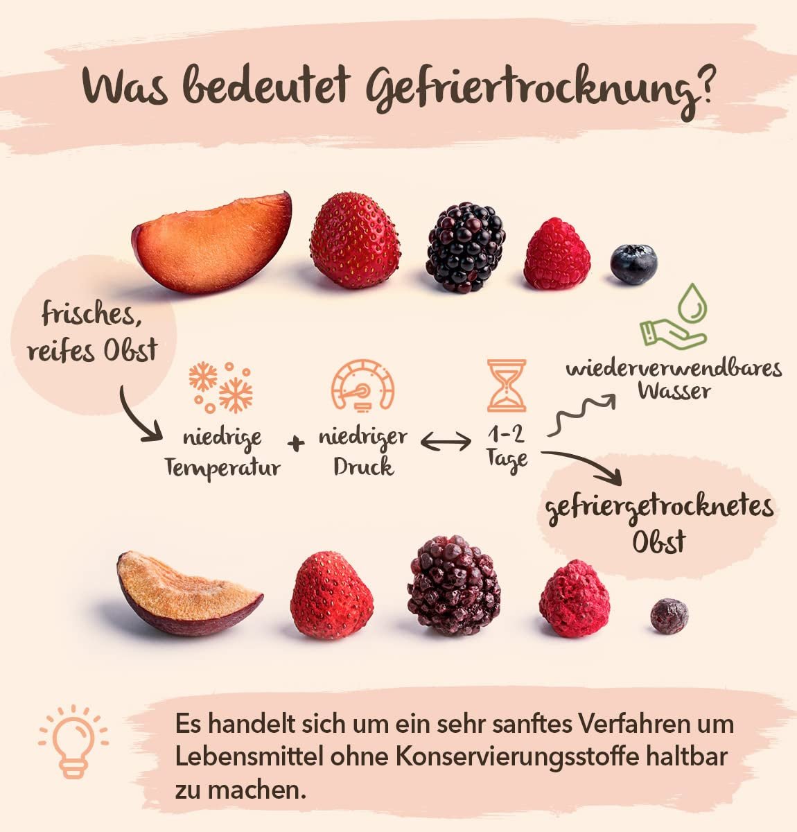 Fructe liofilizate BRIX | Amestec natural de fructe uscate 80 g | Premiul Great Taste pentru fructe uscate | Fără OMG, fără gluten, vegan, vitamine reținute Produse deshidratate Naty Shop