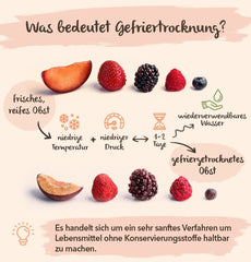 Fructe liofilizate BRIX | Amestec natural de fructe uscate 80 g | Premiul Great Taste pentru fructe uscate | Fără OMG, fără gluten, vegan, vitamine reținute Produse deshidratate Naty Shop