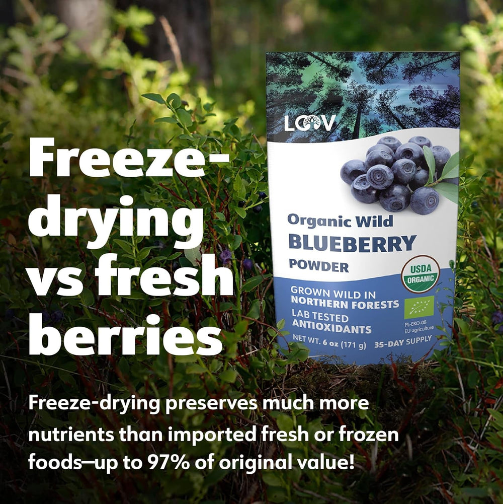 LOOV Organic Wild Blueberry Powder - rezervă pentru 29 de zile, 171 g, bună pentru smoothie-uri și mic dejun, congelată și uscată, din Europa de Nord, fără zahăr adăugat Produse deshidratate Naty Shop