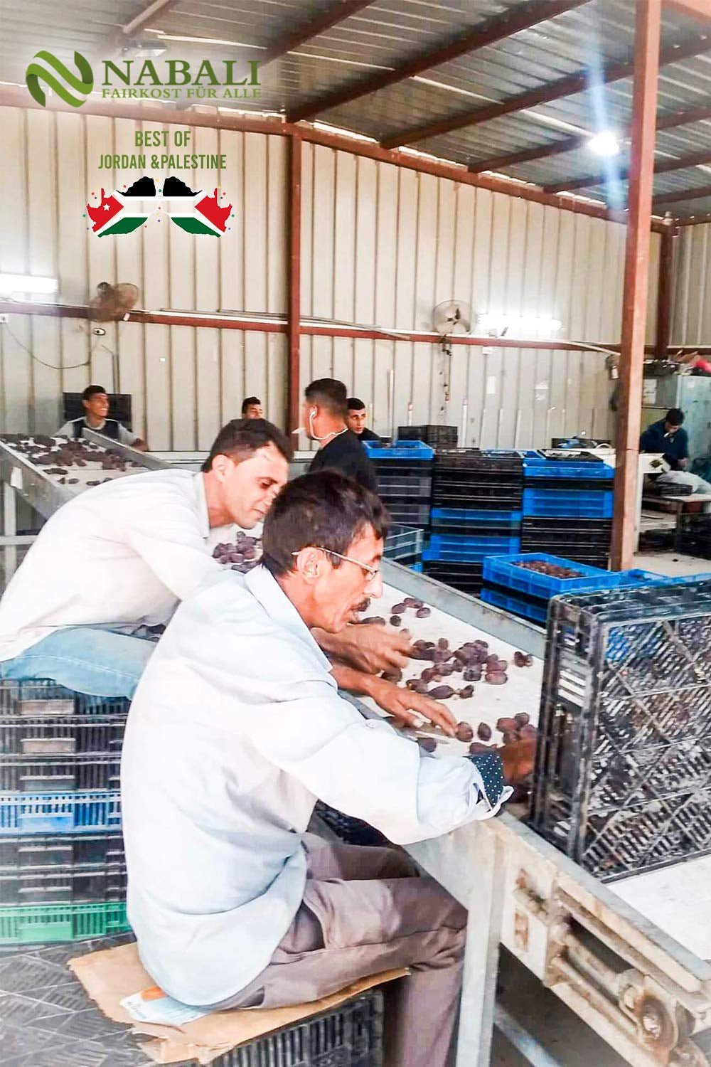 NABALI FAIRKOST 2KG Medjool - Curmale Medjoul Delight Calitate I 100% natural aromat proaspăt și vegan I Curmale Medjool fără conservanți dulci ca mierea și caramelizate (2KG) Produse deshidratate Naty Shop