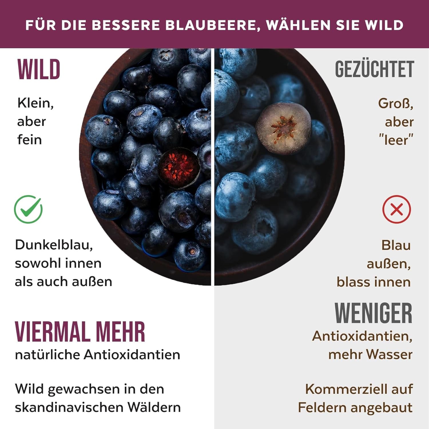 Pulbere organică de afine sălbatice, afine întregi liofilizate, 100% calitatea alimentelor crude, bogate în antioxidanți și vitamina C, fără zahăr adăugat, recoltate în Europa de Nord Produse deshidratate Naty Shop