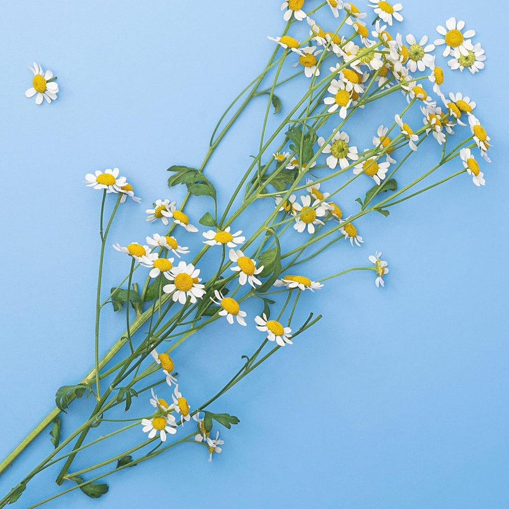 Șampon pentru copii, 200 ml Copii - Baie si Skincare Naty Shop